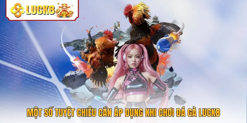 Một số tuyệt chiêu cần áp dụng khi chơi đá gà Luck8