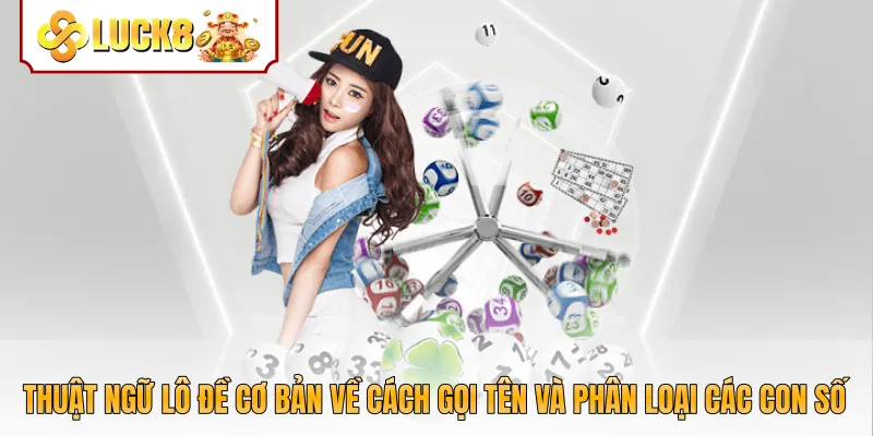 Thuật ngữ lô đề cơ bản về cách gọi tên và phân loại các con số